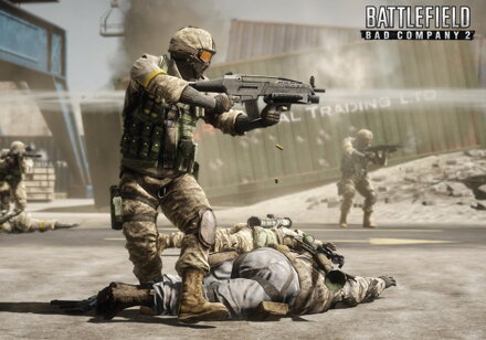 Plakát Battlefield Bad Company 2